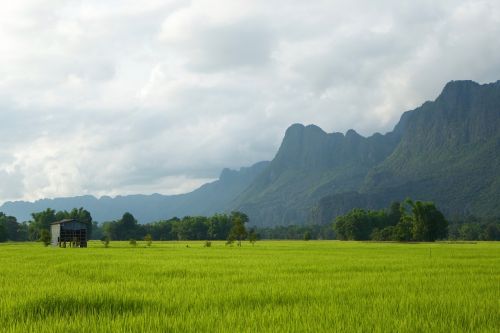 Laosas, Ryžių Laukai, Žalias, Šalis, Namelis