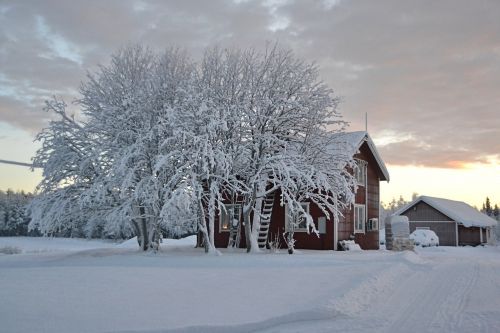Laplandas, Švedija, Sniegas, Kraštovaizdis, Žiema