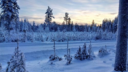 Laplandas, Švedija, Žiemą, Sniegas