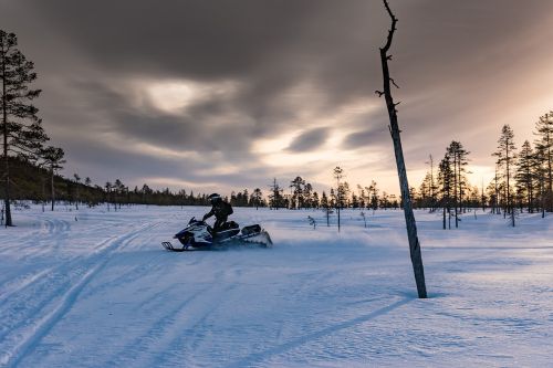 Laplandas, Poliarinė Žiema, Sniegomobilis, Žiema, Sportas, Slidinėjimo Doo, Sniego Transporto Priemonė, Vidurdienio Saulė, Linksma, Žiemos Sportas, Švedija