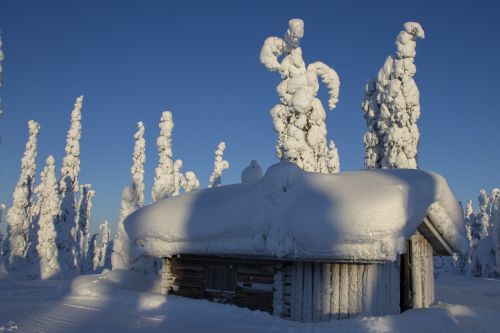Laplandas, Žiema, Sniegas, Žiemą, Finland, Šaltas, Snieguotas, Sniego Kraštovaizdis, Žiemos Nuotaika, Gamta, Sniego Skulptūra, Prisnigo Į, Medžiai, Blokinis Namas