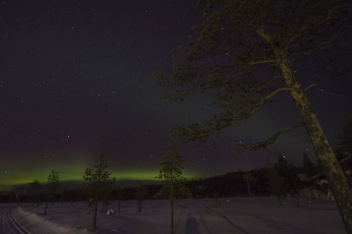 Laplandas, Žiema, Aurora, Aurora Borealis, Naktis, Finland, Suomių Laplandas, Žvaigždėtas Dangus, Šiaurės Pašvaistė
