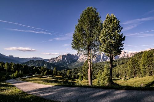 Maumedis, Zirm, Gamta, Medžiai, Dangus, Kraštovaizdis, Kalnai, Debesys, Dolomitai, South Tyrol, Panorama, Mėlynas Dangus, Pieva, Alpių Pieva