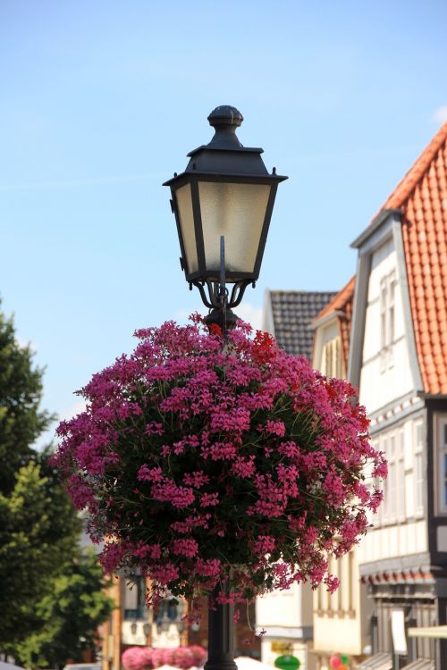 Laterner, Gėlės, Geranium, Raudona, Pasėlių, Balkonų Gamykla