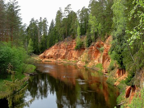 Latvia, Miškas, Medžiai, Miškai, Srautas, Upė, Vanduo, Apmąstymai, Dangus, Gamta, Lauke, Kranto Linija, Vasara, Pavasaris