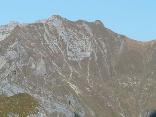 Laufbacher Eck, Kalnai, Alpine, Allgäu, Žygis, Juokiasi Galva, Schochen, Panoraminis Takas, Höhenweg