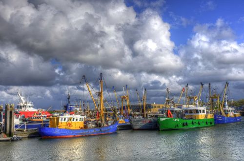 Lauwersoog, Uostas, Žvejybos Laivai, Žuvininkystė, Groningenas, Laivas, Vanduo, Žvejybos Laivas