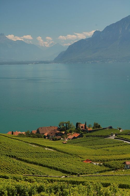 Lavaux, Vaud, Vynuogynai, Geneva, Ežeras, Lac, Leman, Šveicarija, Kalnai, Vanduo, Dangus