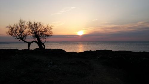 Leghorn, Saulėlydis, Tamarisk, Antignano