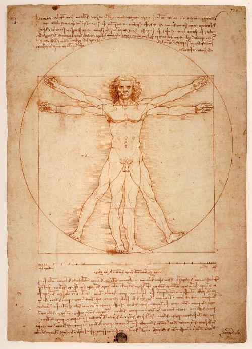 Leonardas Da Vinčis, Vitruvian Vyras, Uomo Vitruviano, 1492, Venecija, Vitruvian, Iliustruotas Tekstas, Galerijos Dellaccademia, Menas, Italų Atgimimas, Antropologija, Leonardo Di Ser Piero Da Vinci, Meno Kūriniai, Traukiamas Pieštuku Ir Plovimas, Homo Vitruvianus, Žmogus, Piešimas, Figūra, Garsenybė, Žinomas, Neįkainojama, Menininkai, Viešoji Nuosavybė