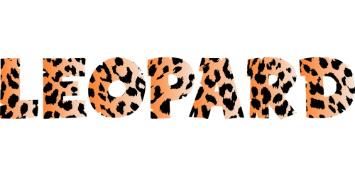 Leopardas, Dėmės, Modelis, Gyvūnas, Katė, Tipografija, Tipo, Tekstas, Žodžiai, Menas, Nemokama Vektorinė Grafika