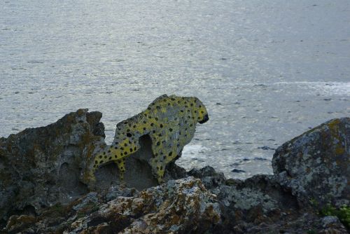 Leopardas, Galicia, Jūra