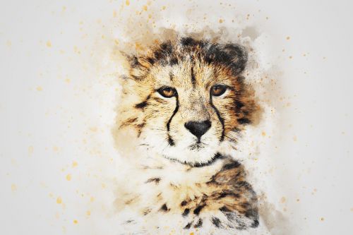 Leopardas, Gyvūnas, Menas, Abstraktus, Akvarelė, Vintage, Spalvinga, T-Shirt, Meno, Dizainas, Akvarelė, Dažyti Skalauti, Skaitmeninis Menas, Skaitmeniniai Dažai, Piešimas
