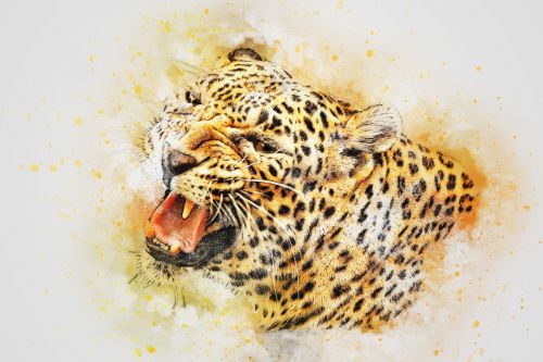 Leopardas, Rėkti, Gyvūnas, Menas, Abstraktus, Akvarelė, Vintage, Gamta, T-Shirt, Meno, Dizainas, Akvarelė, Dažyti Skalauti, Skaitmeninis Menas, Skaitmeniniai Dažai