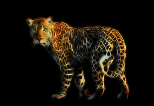 Leopardas,  Kačių,  Predator,  Mėsėdis,  Gyvūnai,  Ekrano Užsklanda,  Nemokama Iliustracijos