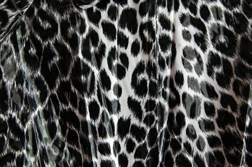 Leopardo Modelis, Juoda Ir Balta, Leopardas, Modelis, Netikrą, Plastmasinis, Jaguar, Leopardo Spauda, Prabanga, Apdaila, Detalus, Egzotiškas, Elegantiškas, Spalva, Dekoratyvinis, Duotonas, Flora, Gražus, Dekoratyvinis, Ornamentas