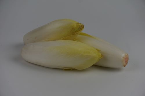 Endives,  Salotos,  Maistas,  Bio,  Žemdirbystė,  Maistas,  Turgus,  Endives