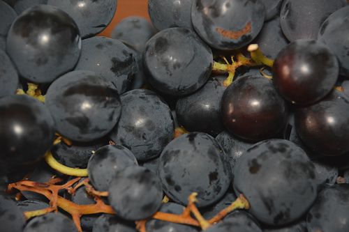 Vynuogės,  Vaisiai,  Maistas,  Desertas,  Ruduo,  Juodosios Vynuogės