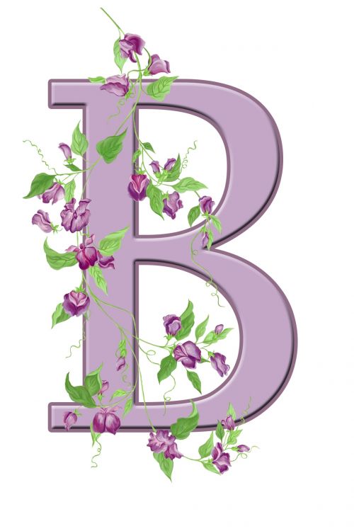 B,  Laiškas,  Monograma,  Pradinis,  Abėcėlė,  Gėlių,  Gėlės,  Lapai,  Violetinė,  Graži,  Kortelė & Nbsp,  Scrapbooking,  Laisvas,  Viešasis & Nbsp,  Domenas,  Laiškas B Gėlių Pradinis