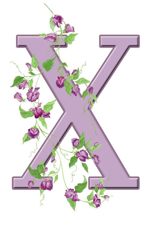 X,  Laiškas,  Monograma,  Pradinis,  Abėcėlė,  Gėlių,  Gėlės,  Lapai,  Violetinė,  Graži,  Kortelė & Nbsp,  Scrapbooking,  Laisvas,  Viešasis & Nbsp,  Domenas,  Raidė X Gėlių Pradinė