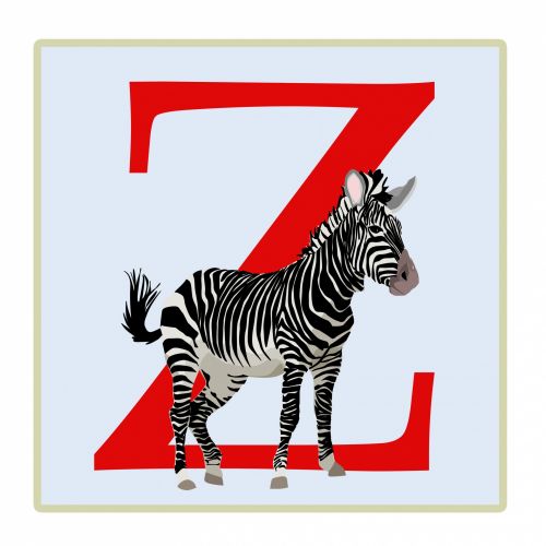 Z,  Laiškas,  Zebra,  Abėcėlė,  Monograma,  Pradinis,  Tekstas,  Menas,  Iliustracija,  Gyvūnas,  Vaikai,  Vaikai,  Mokyti,  Mokytis,  Švietimas,  Švietimo,  Laisvas,  Viešasis & Nbsp,  Domenas,  Raidė Z,  Zebra Iliustracija