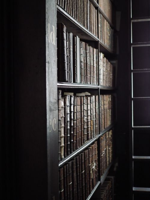 Biblioteka, Ilgas Kambarys, Airija, Kellų Knyga, Knygos
