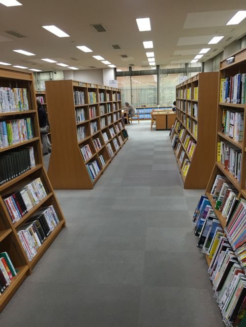 Biblioteka,  Knyga,  Knygų Lentyna