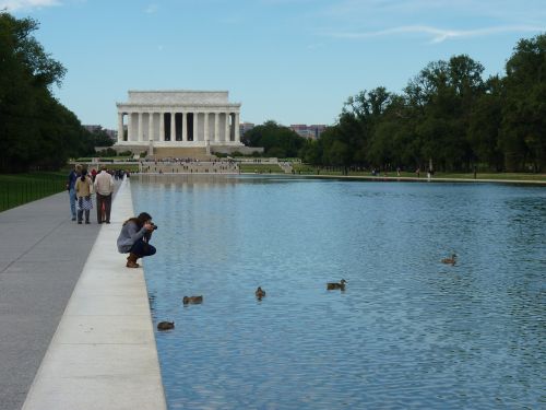 Lincoln, Nuotrauka, Antis, Vanduo, Vašingtonas, Tvenkinys