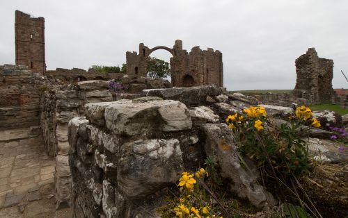 Lindisfarne, Lindisfarne Priory, Priory, Sala, Šventas, Cuthbert, Northumberland, Anglija, Jūra, Prieplauka, Paveldas, Anglų, Griuvėsiai, Aidan, Kraštovaizdis, Vienuolynas, Bažnyčia, Istorinis, Architektūra, Istorinis, Abatija, Viduramžių, Paminklas