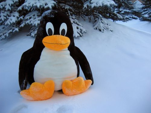 Linux, Pingvinas, Juokinga, Sniegas, Žaislas, Paukštis, Fantazija, Riebalai, Linksma, Mielas, Šaltas