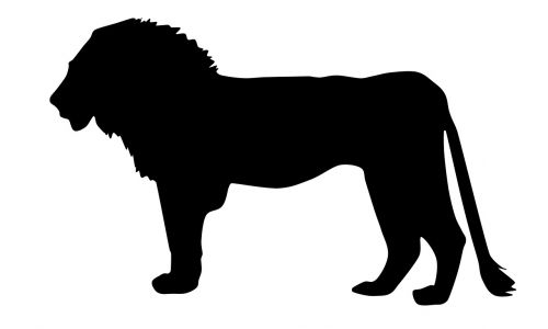Liūtas, Laukiniai, Gyvūnas, Džiunglių Karalius, Afrika, Iliustracija, Laukinė Gamta, Piešimas