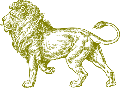 Liūtas, Wildcat, Afrika, Žinduolis, Gyvūnas, Nemokama Vektorinė Grafika