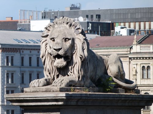 Liūtas,  Budapeštas,  Grandinės Tiltas,  Lankytinos Vietos,  Miestas Kelionė