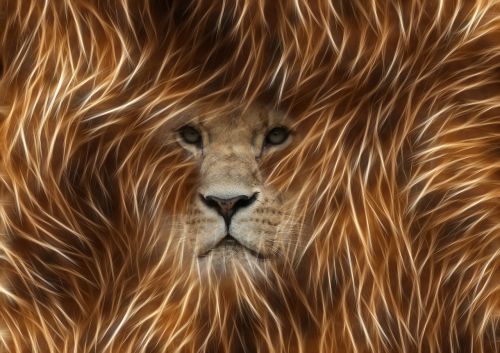 Liūtas, Vaizdo Redagavimas, Grafika, Programa, Photoshop, Fraktalius, Patinas, Burna, Portretas, Safari, Gyvūnų Pasaulis