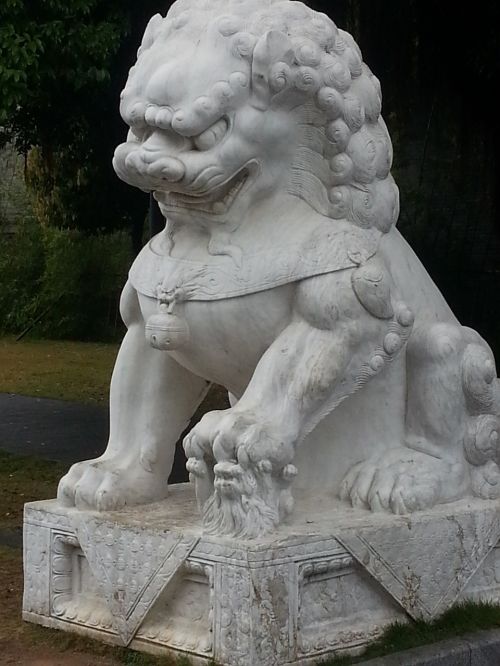 Liūtas, Akmuo, Statula, Kinija, Asija, Balta, Religija
