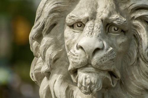 Liūtas, Statula, Zoologijos Sodas