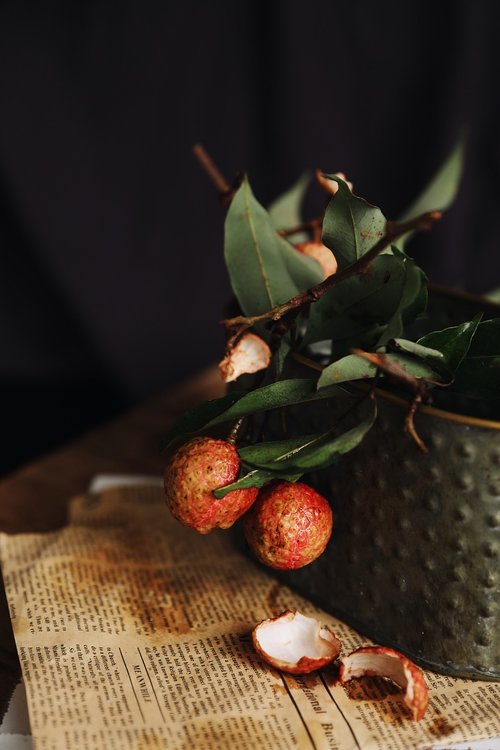 Litchi,  Vaisių,  Laikraštis,  Lapai