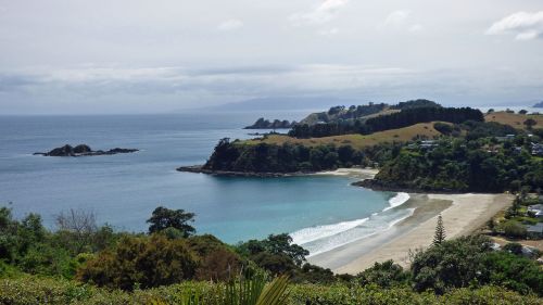 Mažas Palmių Paplūdimys, Waiheke Sala, Naujoji Zelandija, Auckland, Juodas Smelis