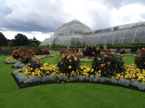 Londonas, Kew Sodai, Šiltnamyje, Gėlės