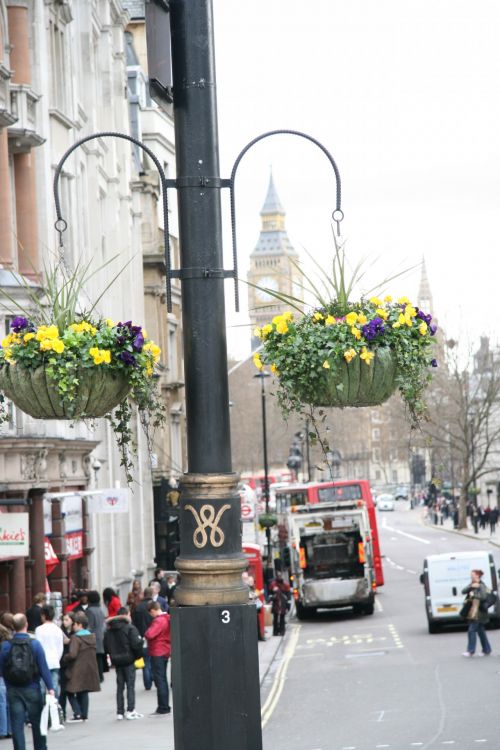 Londonas,  Kabantys & Nbsp,  Krepšeliai,  Gėlės,  Londonas Pakabinti Krepšeliai Gėlės