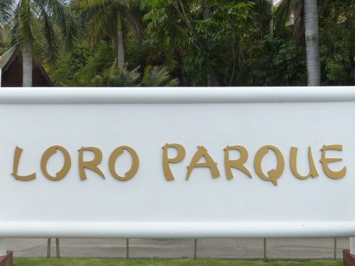 Loro Parque, Zoologijos Sodas, Skydas, Raidės, Logotipas, Tenerifė, Kanarų Salos
