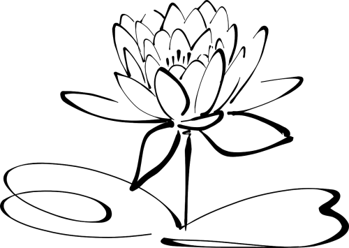 Lotosas, Gėlė, Line Art, Žiedas, Žydėti, Žiedlapis, Atogrąžų, Gėlių, Vandens, Flora, Rytietiškas, Žydi, Ramybė, Nemokama Vektorinė Grafika