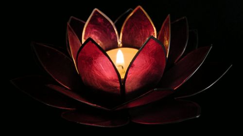 Lotuso Gėlė,  Lotosas,  Gėlė,  Gėlės,  Žvakė,  Turėtojas,  Asian,  Atsipalaiduoti,  Atsipalaidavimas,  Medituoti,  Meditacija,  Medituojantis,  Atsipalaiduoti,  Taikus,  Taika,  Lotoso Gėlių Žvakių Laikiklis