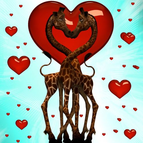 Meilė, Širdis, Žirafa, Kartu, Fono Paveikslėlis, Santykiai, Sėkmė