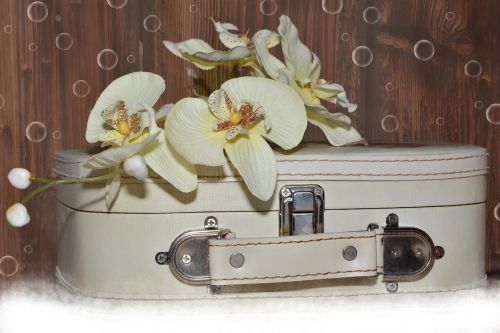 Bagažas, Orchidėja, Medalis, Gėlė, Mediena