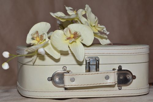 Bagažas, Orchidėja, Gėlės, Gėlė