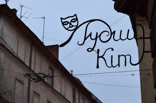 Lviv, Ukraina, Katė, Miestas, Turizmas, Gatvė, Namie