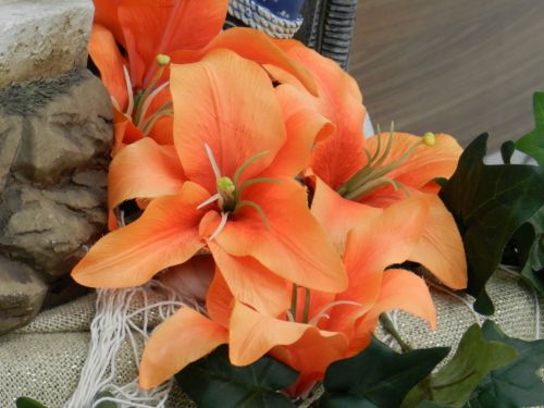 Lelijos,  Gėlės,  Oranžinė,  Olandų Lelija # 1