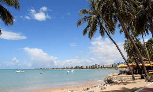 Maceió, Brazilijos Paplūdimiai, Alagoas, Paplūdimys Šiaurės Rytuose, Gamta, Mar, Šiaurės Rytuose, Kokoso Medis