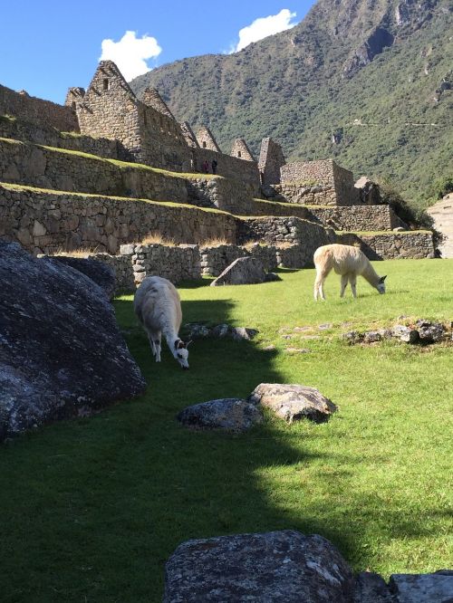 Maču Pikču, Peru, Žygiai